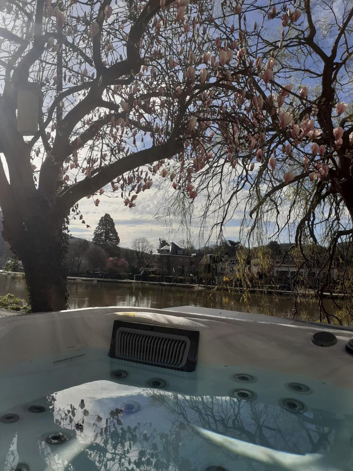 Pieds Dans L'Eau Private Wellness Bordure De Meuse Villa Lustin Exterior photo